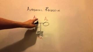 Autosomal Recessive Inheritance [upl. by Francisca]