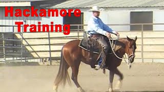 Horse Training with a Hackamore Bosal [upl. by Anyotal]