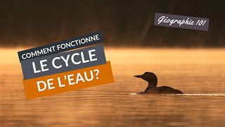 COMMENT fonctionne le CYCLE de lEAU [upl. by Farl519]