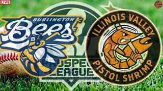 Illinois Valley Pistol Shrimp vs Burlington Bees Prospect League Live Game Cast amp Chat [upl. by Ymas]