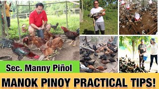 Manok Pinoy Practical Tips by Sec Emmanuel quotMannyquot PiÑol [upl. by Kreindler270]