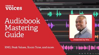 Mastering Your Audiobook An indepth guide with Adobe Audition [upl. by Ajiram]