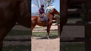 horseplay equestrian horseenthusiast ottb horsefan [upl. by Adara]