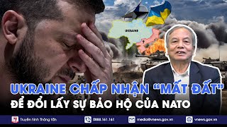 Chuyên gia nhận định Ukraine chấp nhận “mất đất” để đổi lấy sự bảo hộ của NATO  BLQT  VNews [upl. by Hawker]