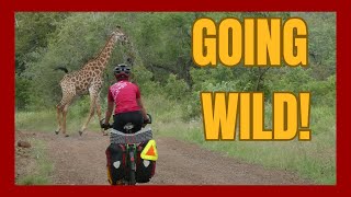 Eswatini On the wild side A bike travel vlog [upl. by Gardia]