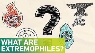 What are extremophiles [upl. by Hgierb660]