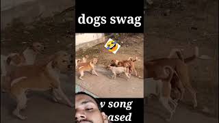 Dog song DJtrending shortvideos comedy adit yadav2 [upl. by Delp60]