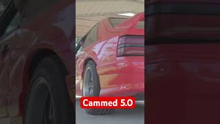 Cammed 50 Foxbody ‼️😮‍💨 [upl. by Novert548]