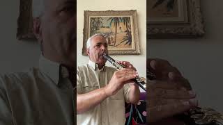 Quadrille 13 lygeros music clarinet musicalinstrument clarinetist viralshort [upl. by Elwyn710]