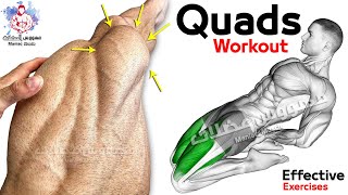 6 Easy Exercises Quadriceps Workout  Leg Day [upl. by Ellener]