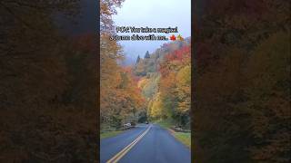 Scenic fall drive through Great Smoky Mountains National Park [upl. by Cherish]