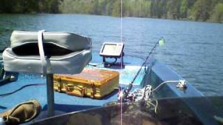 A day with the kids on Guntersville Lake Bass fishing [upl. by Notlek]