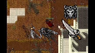 Tibia 2017 Paladin  Where to hunt Grim Reapers Yalahar [upl. by Ariela277]