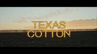 TEXAS COTTON Official Teaser [upl. by Katz748]