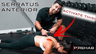 The BEST Serratus Anterior Exercises [upl. by Just]