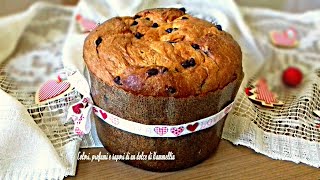 Panettone fatto in casa  Ricette dolci con Kammellia [upl. by Carissa]