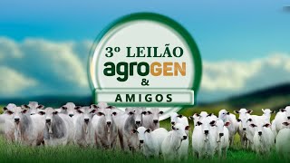 Canalleiloescom  🔝 3° LEILÃO AGROGEN amp AMIGOS PALMEIRÓPOLIS TO 📌 [upl. by Cordle]