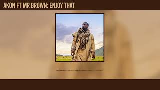 Akon  Enjoy That Remix Official Audio ft Mr Brown [upl. by Calbert]