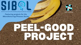 PEELGood Project Benchscale Ultrasoundassisted Extraction of Pectin from quotSabaquot Banana Peel Waste [upl. by Emarie]