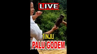 Chintya Candranaya LIVE TINJU Palu Godem [upl. by Ellene]