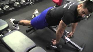 How to Do Incline Dumbbell Rows [upl. by Aisercal256]