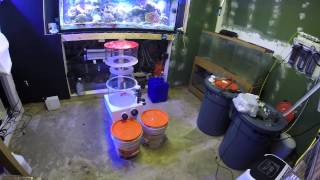 Unboxing Reef Octopus Regal 300EXT Skimmer [upl. by Avilys]