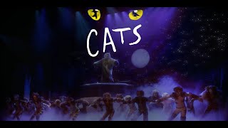 DPAC Cats Broadway 2022  Sponsor Spot [upl. by Stucker]