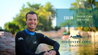 Meet Colin – Animal Care Specialist  Discovery Cove Orlando [upl. by Philippine]