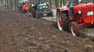 HD Oldtimerpflügen der Oldtimerfreunde Loit 2013 GoPro Mittendrinn [upl. by Eiryk]