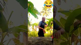 dhan lagane ka time 😂😂 funny comedy comedydancer realcomedy short viral [upl. by Dupuy644]