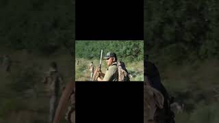 Busting Black Bear out of Brush Dogs in Pursuit KILLSHOT hunting [upl. by Agueda467]