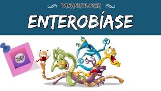 ENTEROBÍASE OXIURÍASE  PARASITOLOGIA 8 [upl. by Perri962]