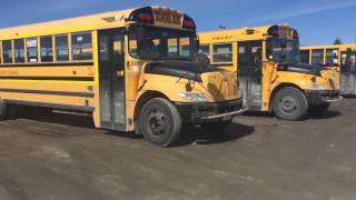 School Buses In Thornhill Ontario [upl. by Ainegul]