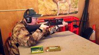 Remington 783 Bolt Action Rifle Review in 243 Win [upl. by Ragen]