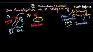 Virulence factors of bacteria [upl. by Havener558]