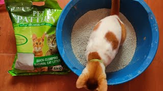 Pet Pattern Bentonite cat litter 😾😾😾 [upl. by Smail57]