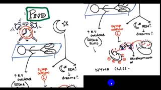 ORTHOPNEA AND PND AND PLATYPNEA AND TREPOPNEA 4TH YR [upl. by Emili]