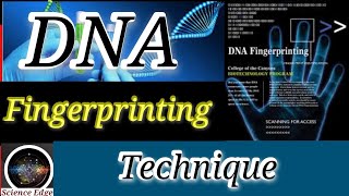 DNA Profiling DNA Testing  DNA fingerprinting How DNA Fingerprinting work stepbystep process [upl. by Nhguavaj]