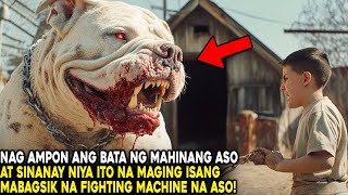 NAG AMPON ANG BATA NG INOSENTENG ASO AT SINANAY NYA ITO NA MAGING MABAGSIK NA FIGHTING MACHINE [upl. by Thia]