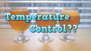 Does Fermentation Temperature Control Matter [upl. by Sheela]