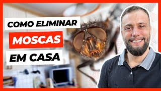 Como acabar com moscas em casa [upl. by Drahsar]