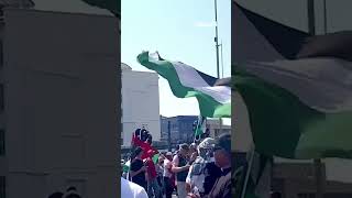 ProPalestine demonstrators in Cape Town call for ceasefire [upl. by Nirda]