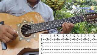 Quererte Jamás  Requinto tutorial y tablaturas  Bertín y Lalo  Pero quererte jamas  Requinto [upl. by Aciraj]