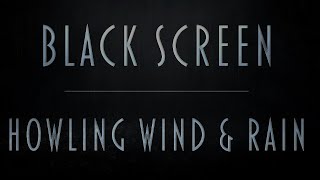 Howling Wind amp Rain Sounds  Pure Black Screen For Uninterrupted Sleep  Fall asleep fast  8Hrs [upl. by Husch]