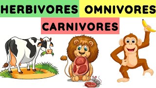 Herbivores carnivores and omnivores  Animals and their food  Eating habits of animals herbivores [upl. by Shuma787]