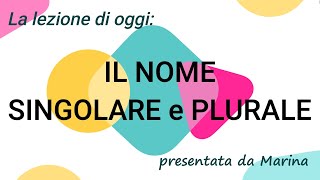 IL NOME SingolarePlurale  Videolezione per la classe PRIMA della scuola primaria [upl. by Tongue]