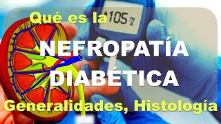 ¿Qué es la NEFROPATÍA DIABÉTICA Diabetes y Riñón parte 1 [upl. by Fatma]