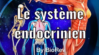 Physiologie animale le système endocrinien glande hormone hypothalamus et hypophyse [upl. by Stein]