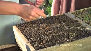 Session 2 GROW BIOINTENSIVE A Beginners Guide  Growing Seedlings in Flats [upl. by Adneram560]