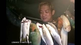 Nakahuli ako ng isang pamilyang bagulan ep 052subscribemychannel sharethisvedio nightspearfishing [upl. by Bromley]